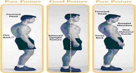 การป้องกันอาการปวดหลัง (Back Pain Prevention)