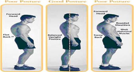 Back Pain Prevention