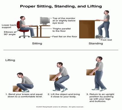 Best sitting position for lower online back